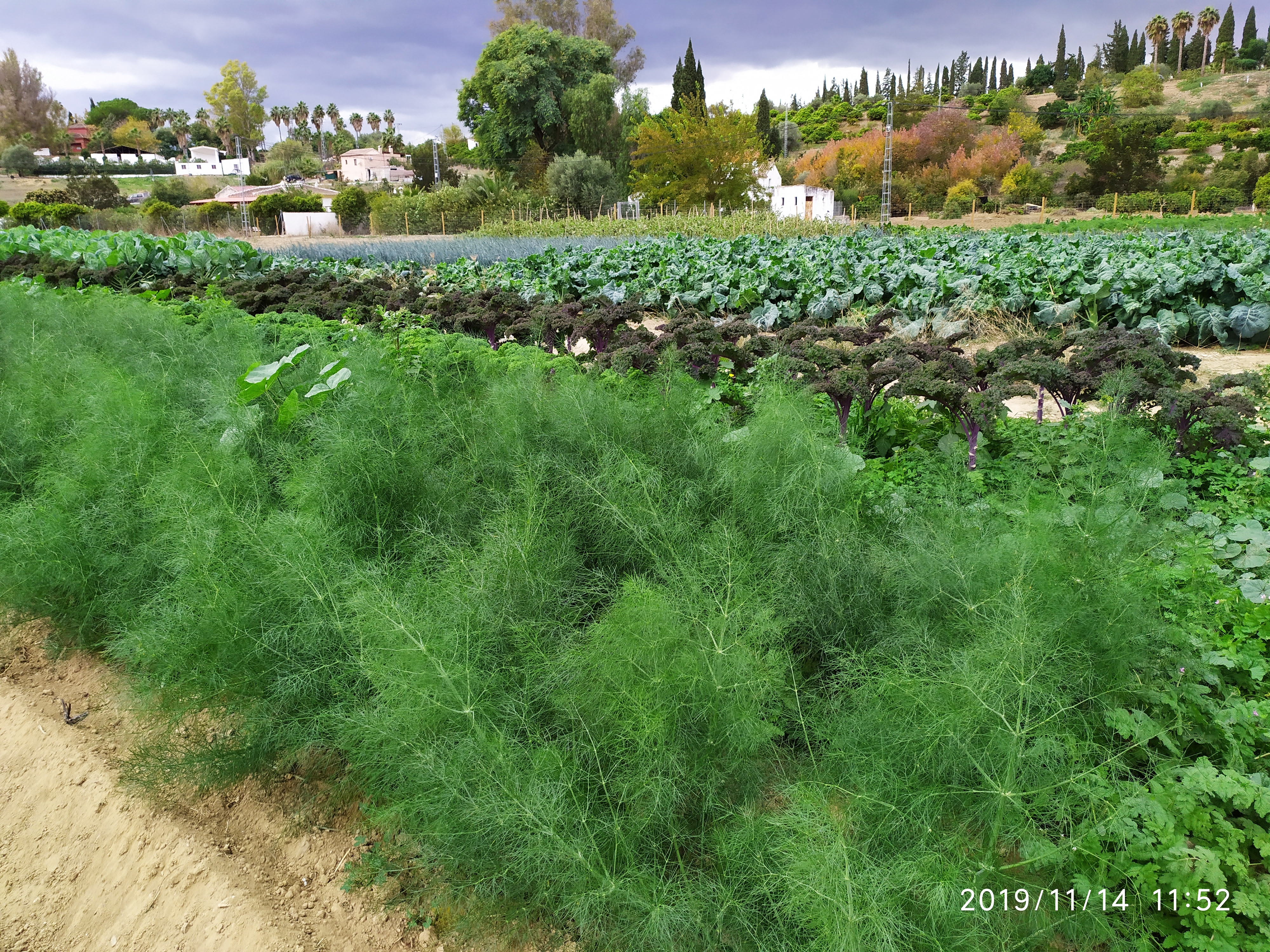 La Huerta del Paraíso